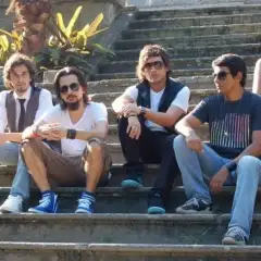 Antenas de Vinil