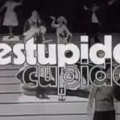 Estúpido Cupido (Novela)
