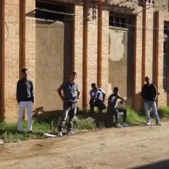 Grupo Perfil Novo